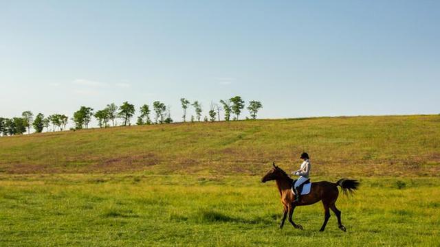 Ilustrasi menunggang kuda