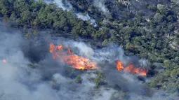 Kebakaran hutan di pantai Mediterania Spanyol dekat perbatasan Prancis menyebar dengan cepat pada hari Jumat, 4 Agustus, dipicu oleh angin kencang dan mengelilingi lokasi wisata yang populer. (AFP/Raymond Roig)