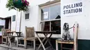 Anjing jenis Cocker Spaniel, Tilly, duduk di atas kursi di luar Anglesea Arms yang dijadikan tempat pemungutan suara di London, Kamis (8/6). Para anjing itu ikut menemani majikan mereka yang ambil bagian dalam Pemilu Inggris. (Justin TALLIS/AFP)