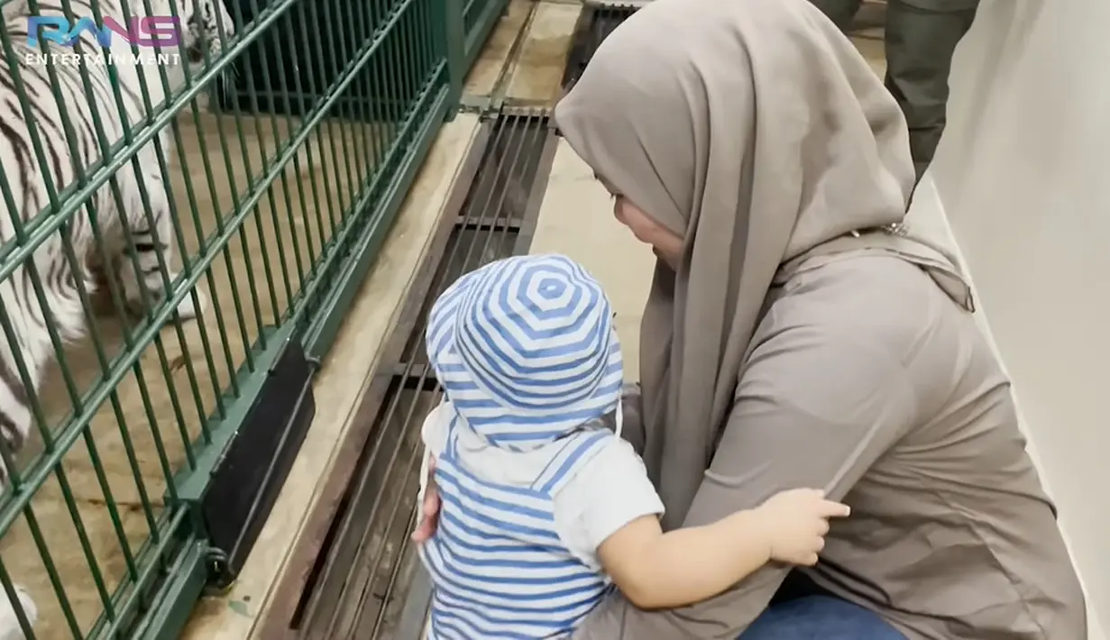 Rayyanza Malik Ahmad melihat harimau putih dari jarak dekat didampingi pengasuhnya.  (Foto: YouTube Rans Entertainment)