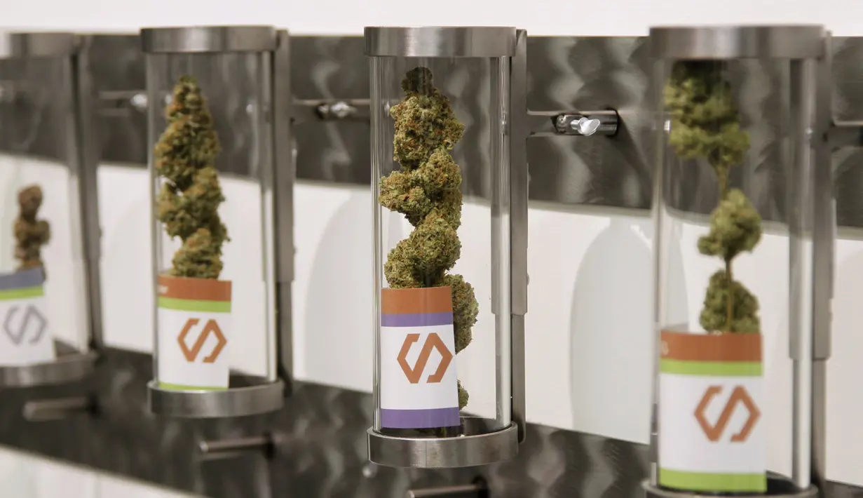 Salah satu produk ganja yang ditawarkan oleh toko Shango Cannabis, Oregon, AS, Kamis (1/10/2015). Oregon adalah negara ketiga di AS yang melegalkan penjualan ganja untuk orang dewasa. (Reuters/ Steve DiPaola)