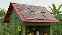 7 Desain Kandang Ayam dengan Atap Solar Panel Mini: Inovasi Hemat Energi untuk Peternak Modern