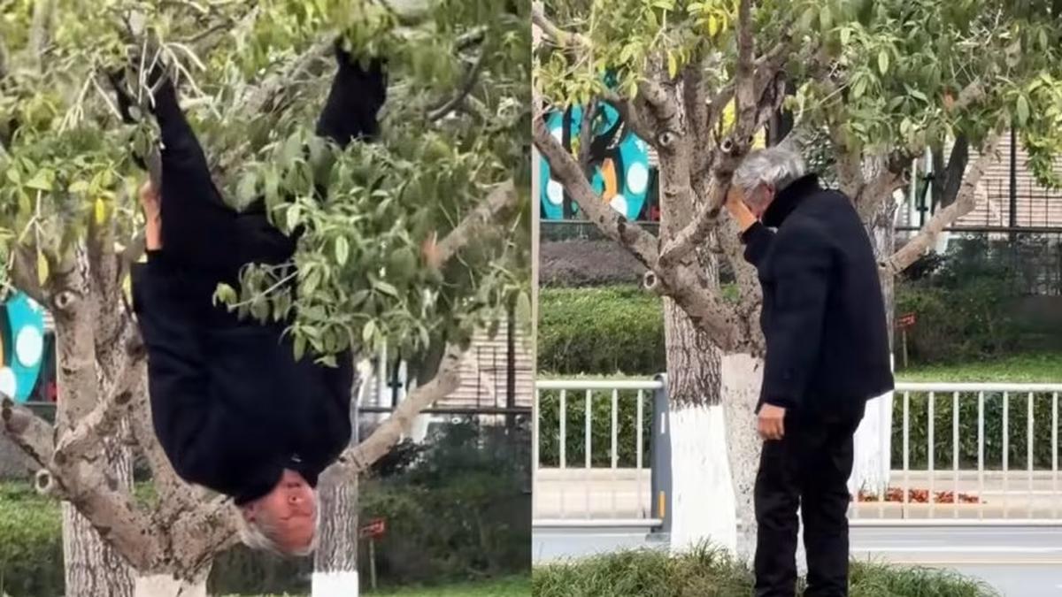Aksi Kakek Bergelantungan Terbalik di Pohon Seperti Batman, Tuai Decak Kagum