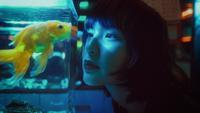 Ilustrasi diri sendiri, merenung, berpikir, sisi gelap. (Photo by Khoa V&otilde;: https://www.pexels.com/photo/ethnic-woman-looking-at-fish-in-aquarium-4958618/)