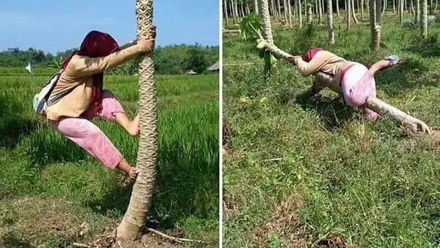 6 Aksi Gokil Cewek Saat Naik Pohon, Banyak Tingkah
