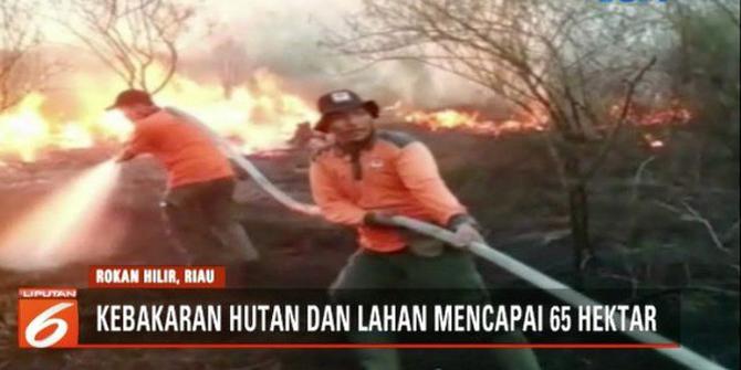 Kebakaran Landa Hutan dan Lahan Gambut di Riau Sepekan Terakhir