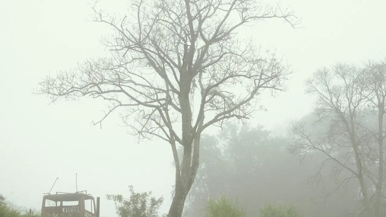 Wet dry climate