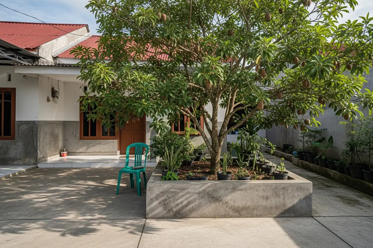 Pohon Buah yang Cocok Ditanam dalam Planter Box Beton Model Pohon Sawo