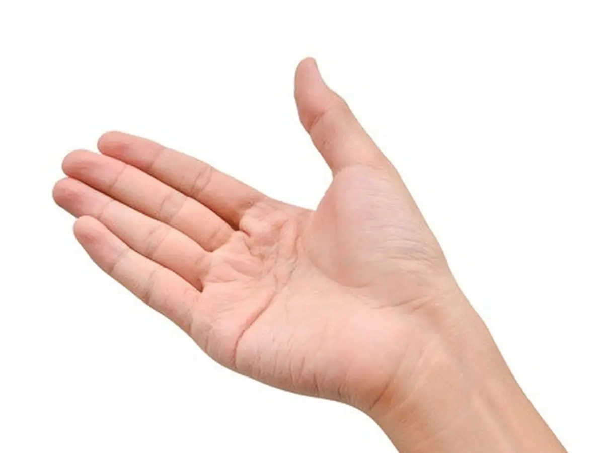 Jangan Diabaikan, 10 Kondisi pada Tangan Pertanda Tubuhmu Bermasalah - Citizen6 Liputan6.com