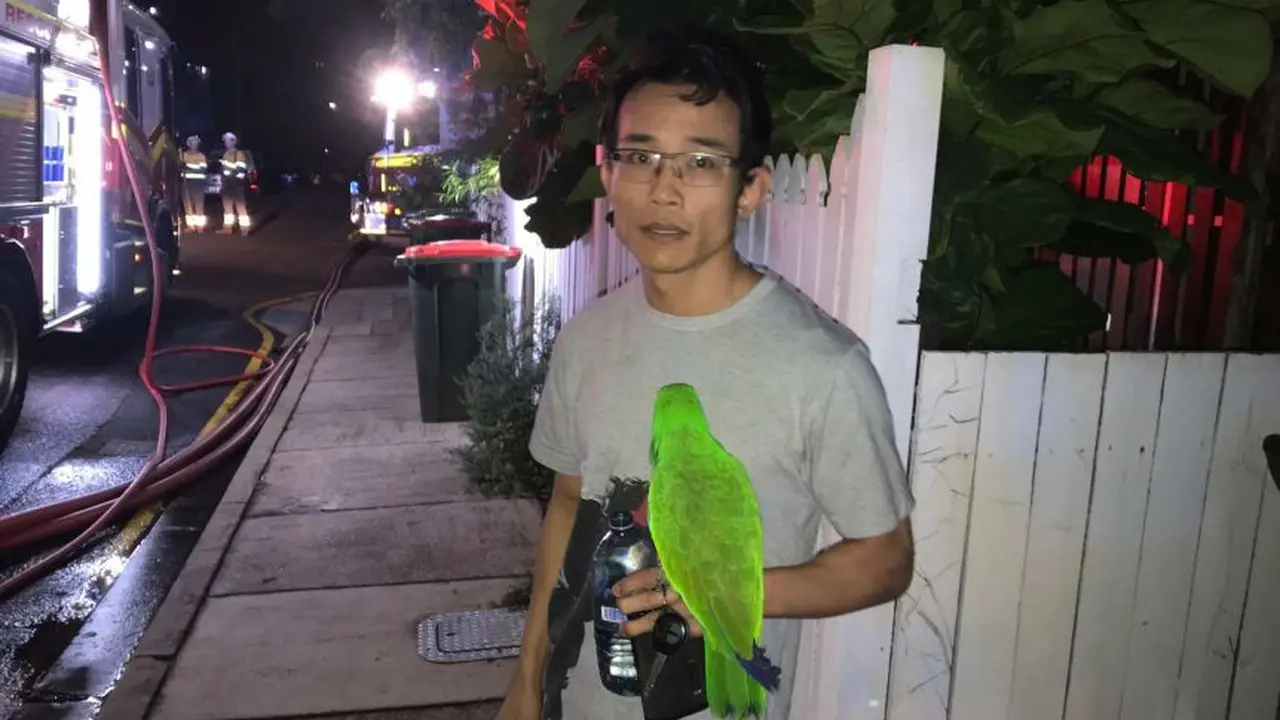 Burung Beo Selamatkan Nyawa Pemiliknya