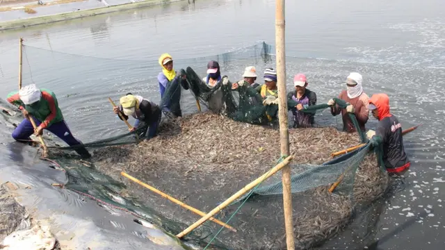 Pembudidaya udang. Dok KKP