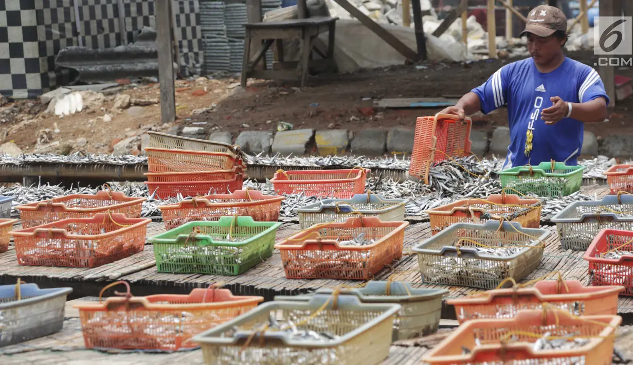 Warga menjemur ikan asin di Muara Angke, Jakarta, Rabu  (13/9). Produksi ikan asin yang merupakan usaha rumah tangga nelayan di daerah tersebut mengalami peningkatan hingga 50 persen saat musim kemarau. (Liputan6.com/Angga Yuniar)