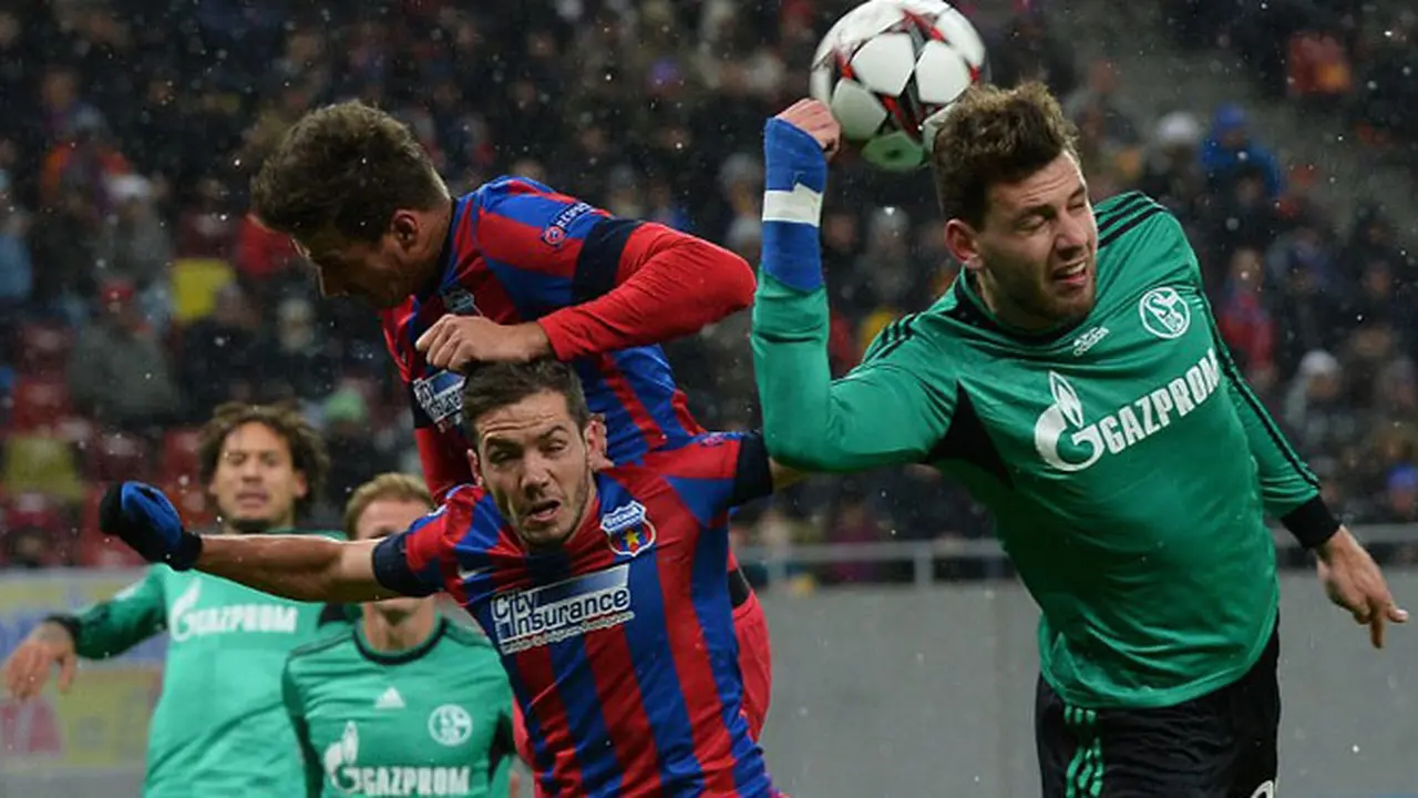 schalke-044-131127a.jpg