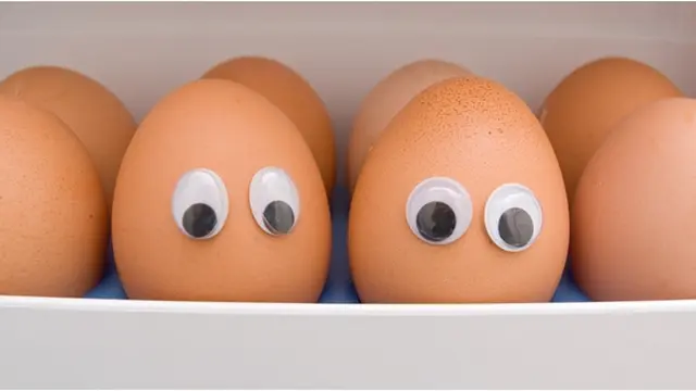 Copyright by Shutterstock.com