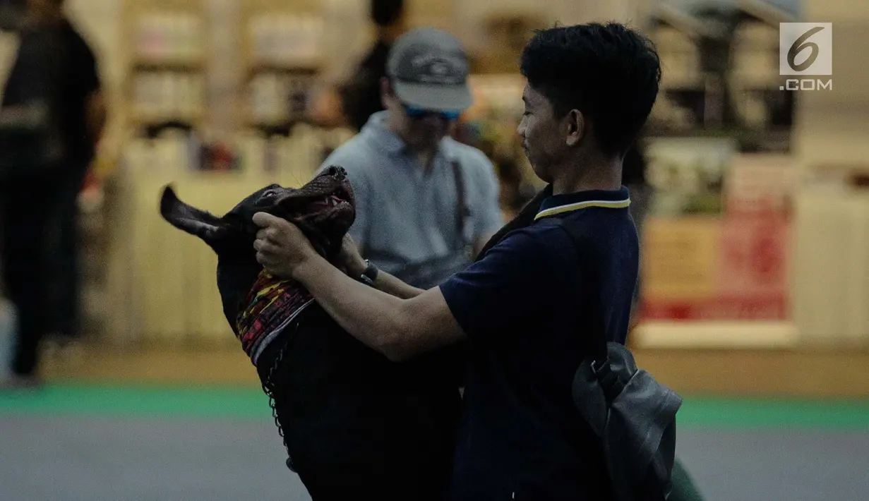 Peserta bersama anjing peranakan mengikuti kontes anjing "CAC International Dog Show 2018" di Ecovention, Ancol, Jakarta, Minggu (4/2). Acara kontes ini diikuti oleh puluhan anjing ras berbagai jenis. (Liputan6.com/Faizal Fanani)