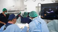 Tanpa Radiasi, Ekokardiografi Pantau Kondisi Penyakit Jantung Bawaan pada Anak Secara Real Time