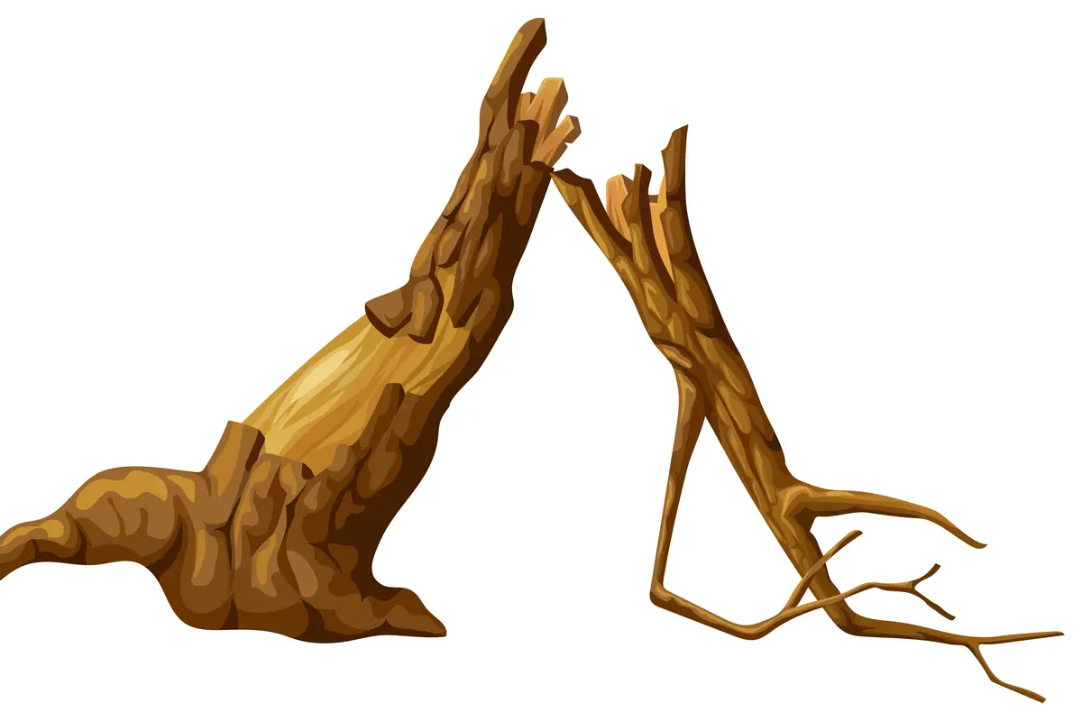 Ilustrasi pohon tumbang