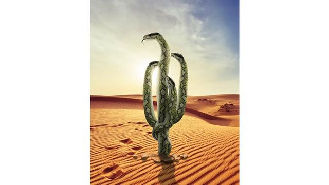 Pria Ini Bikin Manipulasi Foto Padukan Alam dan Hewan, 6 Hasilnya Bikin Takjub