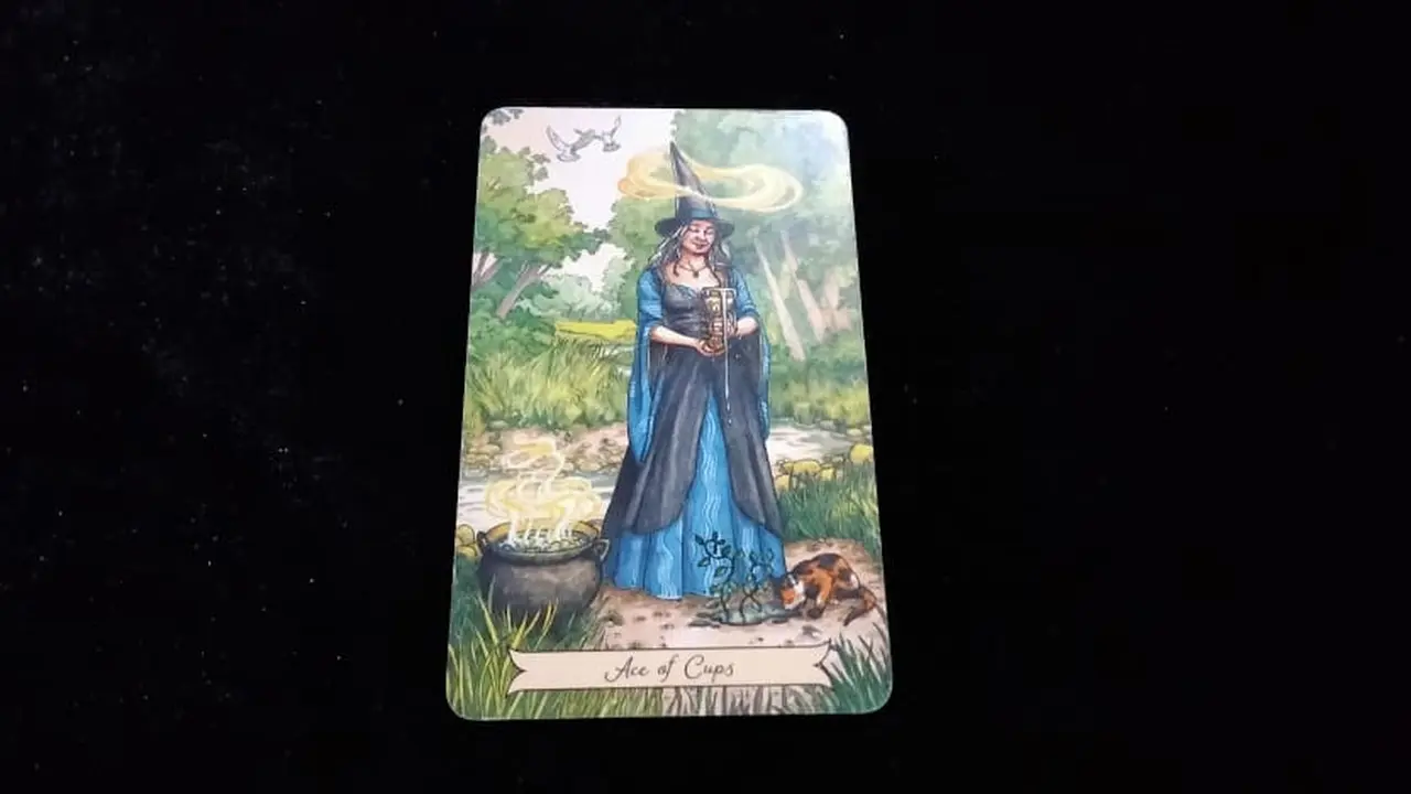 Tarot