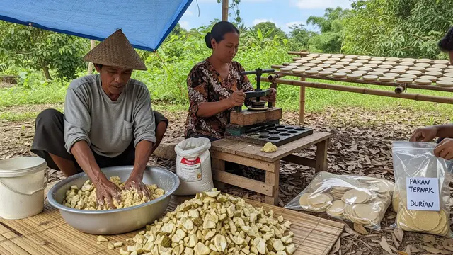 Cara Olah Kulit Durian Jadi Pakan Ternak