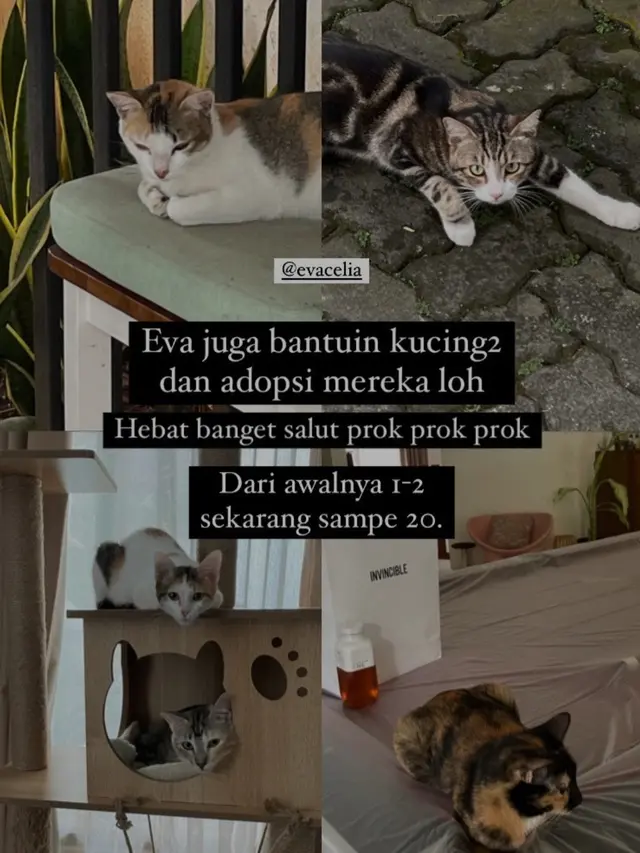 Rumah Sophia Latjuba dan Eva Celia. (Foto: Instagram Stories @biasalahanakmuda)