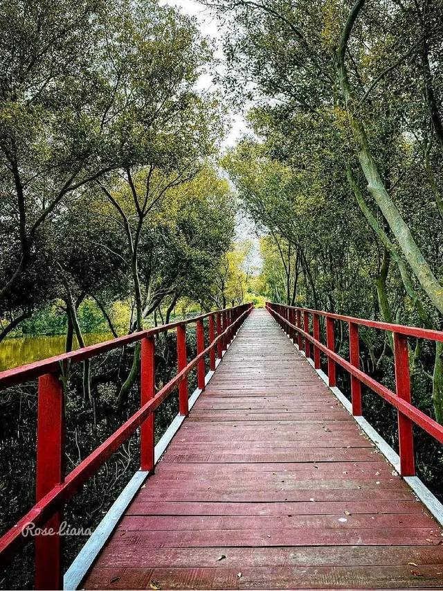 20 Tempat Wisata Indramayu yang Instagra…