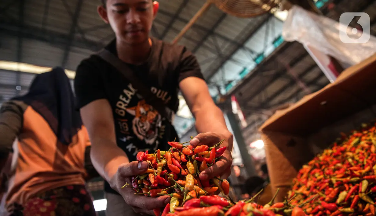 Pedagang cabai merah merapikan dagangannya di Pasar Jati, Jakarta, Kamis (10/3/2022). Kenaikan harga cabai rawit merah di Pasar Jati dipicu pasokan yang menurun akibat cuaca buruk di sejumlah daerah penghasil. (Faizal Fanani/Liputan6.com)