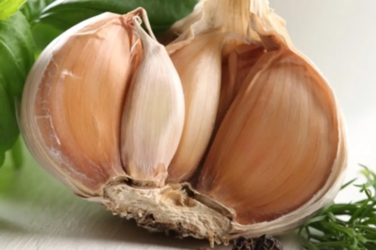 Foto: Copyright Thinkstockphotos.com