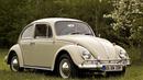 Di Indonesia terkenal dengan nama VW Kodok (Source : IST)