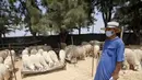 Seorang pria terlihat di sebuah kios penjualan domba kurban menjelang Hari Raya Idul Adha di Aljir, Aljazair, Minggu (12/7/2020). (Xinhua)