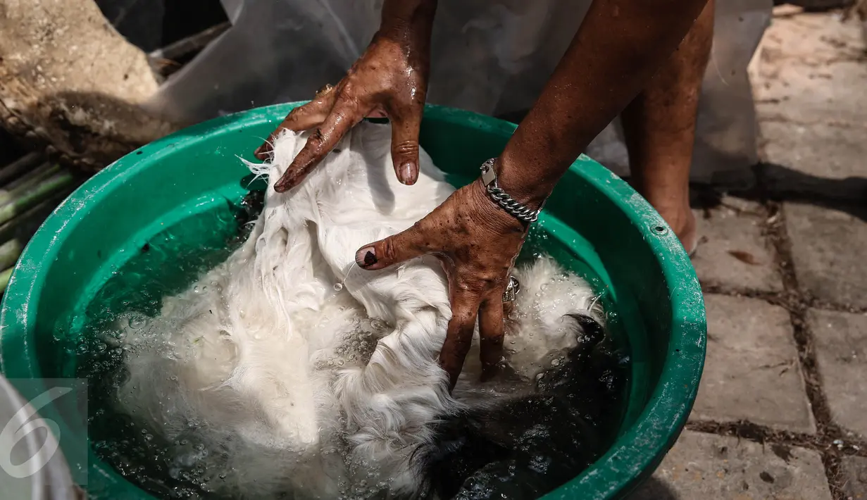 Kulit sapi di rendam sebelum dikeringkan di kawasan, Tanah Abang, Jakarta, Jumat (17/6). Menjelang lebaran, sejumlah pedagang menjual aneka ragam bedug yang dijual dari harga Rp. 100 ribu hingga Rp 4 juta.(Liputan6.com/Faizal Fanani)