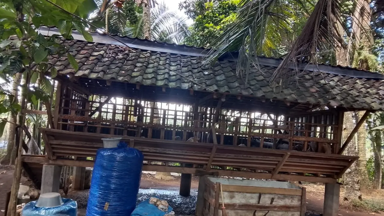Kondisi kandang kambing yang diobrak abrik maling (Istimewa)