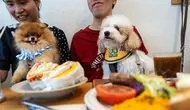 Restoran di Hong Kong Perbolehkan Pelanggan Bawa Anjing
