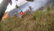 Kemendagri Dalami Celah Aturan Buka Lahan Dibakar