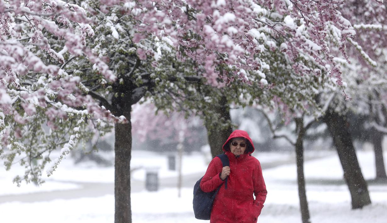 Beberapa jam sebelumnya, sebuah bus yang mengangkut para pekerja untuk shift pagi tergelincir di jalan yang tertutup salju, dan melukai 18 orang, kata televisi pemerintah RTS. (AP Photo/Armin Durgut)