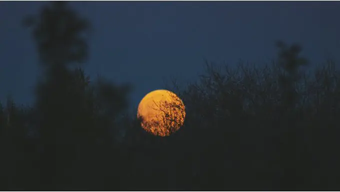 Gerhana Bulan/copyright unsplash.com/@noahsilliman