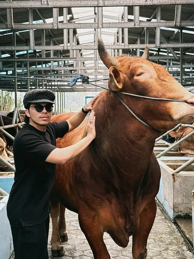 7 Potret Usaha Peternakan Sapi Milik Atta Halilintar, Ramai Jelang Idul Adha