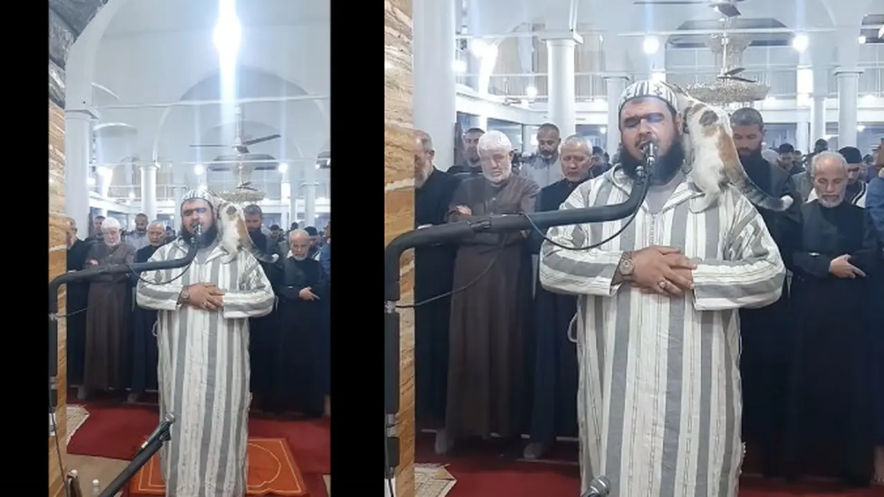 Viral Kucing Naik ke Pundak Imam Saat Sholat Tarawih