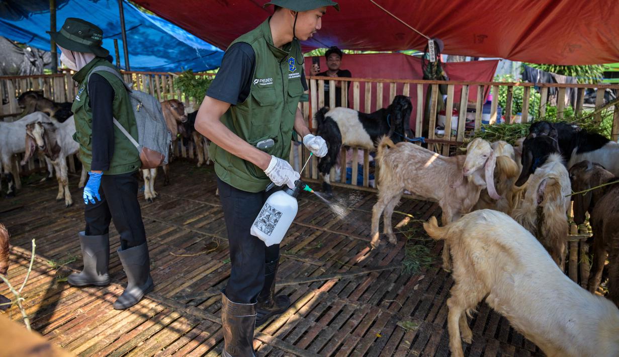 Petugas kesehatan dari Dinas Ketahanan Pangan dan Pertanian menyemprotkan disinfektan di kandang kambing di pasar ternak menjelang Idul Adha atau hari raya kurban bagi umat Muslim, di Surabaya, Jawa Timur, pada Rabu 20 Mei 2026. (JUNI KRISWANTO/AFP)