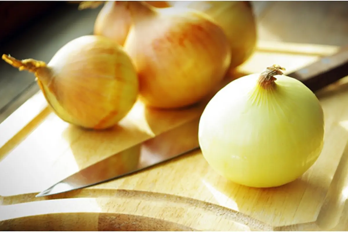 Courtesy ShutterStock.com
