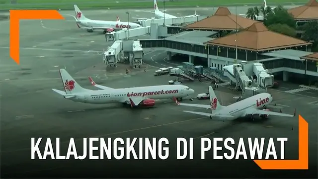 Penumpang pesawat Lion Air dihebohkan dengan kemunculan seekor kalajengkis di kabin. Pihak otoritas bandara pun segera mengusut kejadian tersebut.