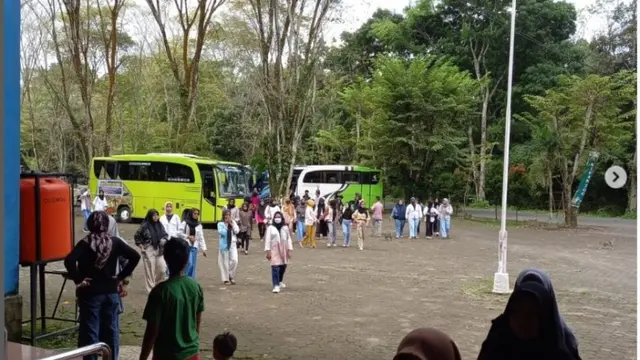 Usai 4 Harimau Mati, Walhi Sumut Imbau Medan Zoo Segera Ditutup