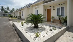 7 Tanaman untuk Taman Kering di Rumah Subsidi, Estetika Minim Perawatan