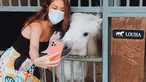 Penyanyi sekaligus aktris yang lahir pada 22 Maret 1983 sangat menyukai hewan. Ia tak ragu untuk mengajak foto hewan lalu diunggah di Instagram. Seperti saat BCL dengan gemasnya berfoto selfie dengan kuda poni warna putih. (Liputan6.com/IG/@bclsinclair)