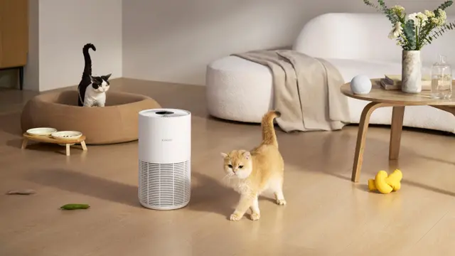 Xiaomi Pet Air purifier