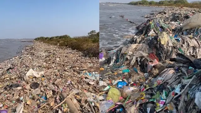 Pandawara Ajak 7.800 Orang Bersihkan Pantai Kesenden Cirebon, Dinobatkan sebagai Pantai Terkotor ke-3 di Indonesia