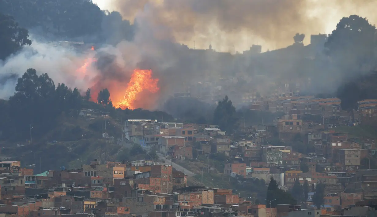 Kebakaran hutan terjadi di daerah perbukitan dekat Bogota , Kolombia, 2 Februari 2016. Kebakaran hutan ini terjadi hanya beberapa meter dari pemukiman penduduk. (REUTERS / John Vizcaino)