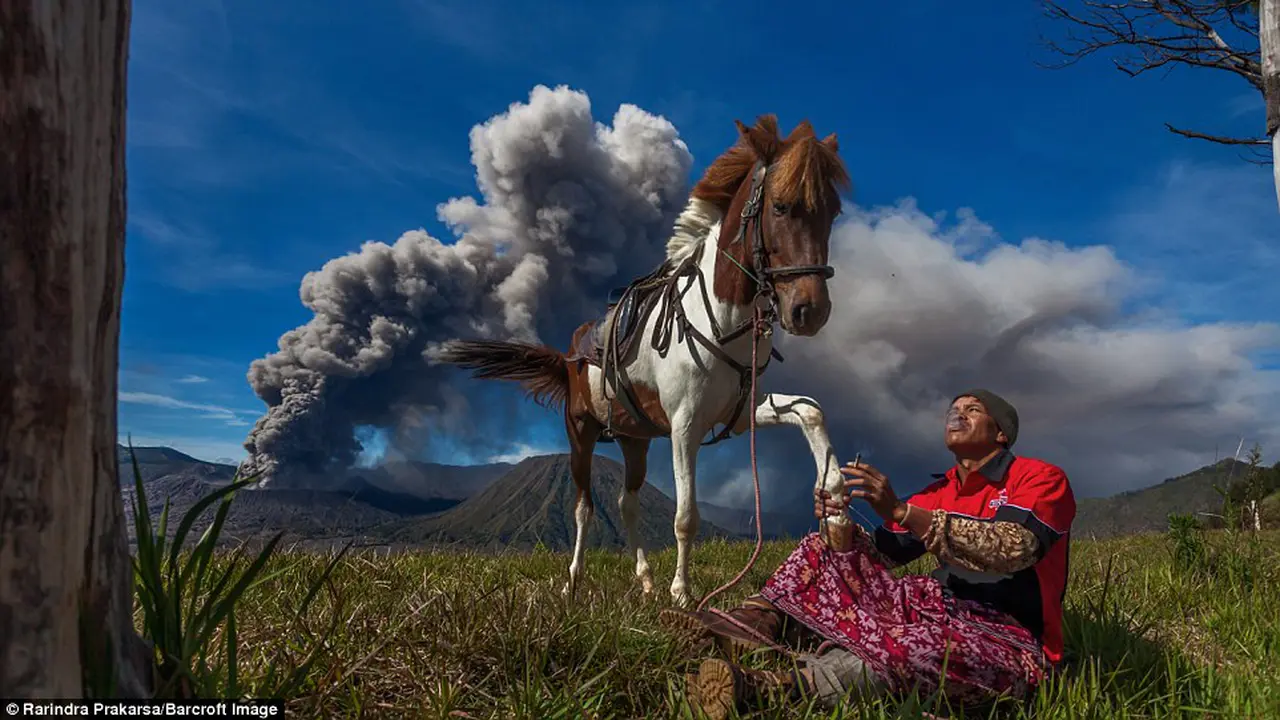 Bromo