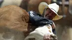  Aksi Billy Bugenig dari Ferndale, California saat tampil di hari ketiga rodeo Calgary Stampede di Alberta, Kanada, (6/7/2014). (REUTERS/Todd Korol)