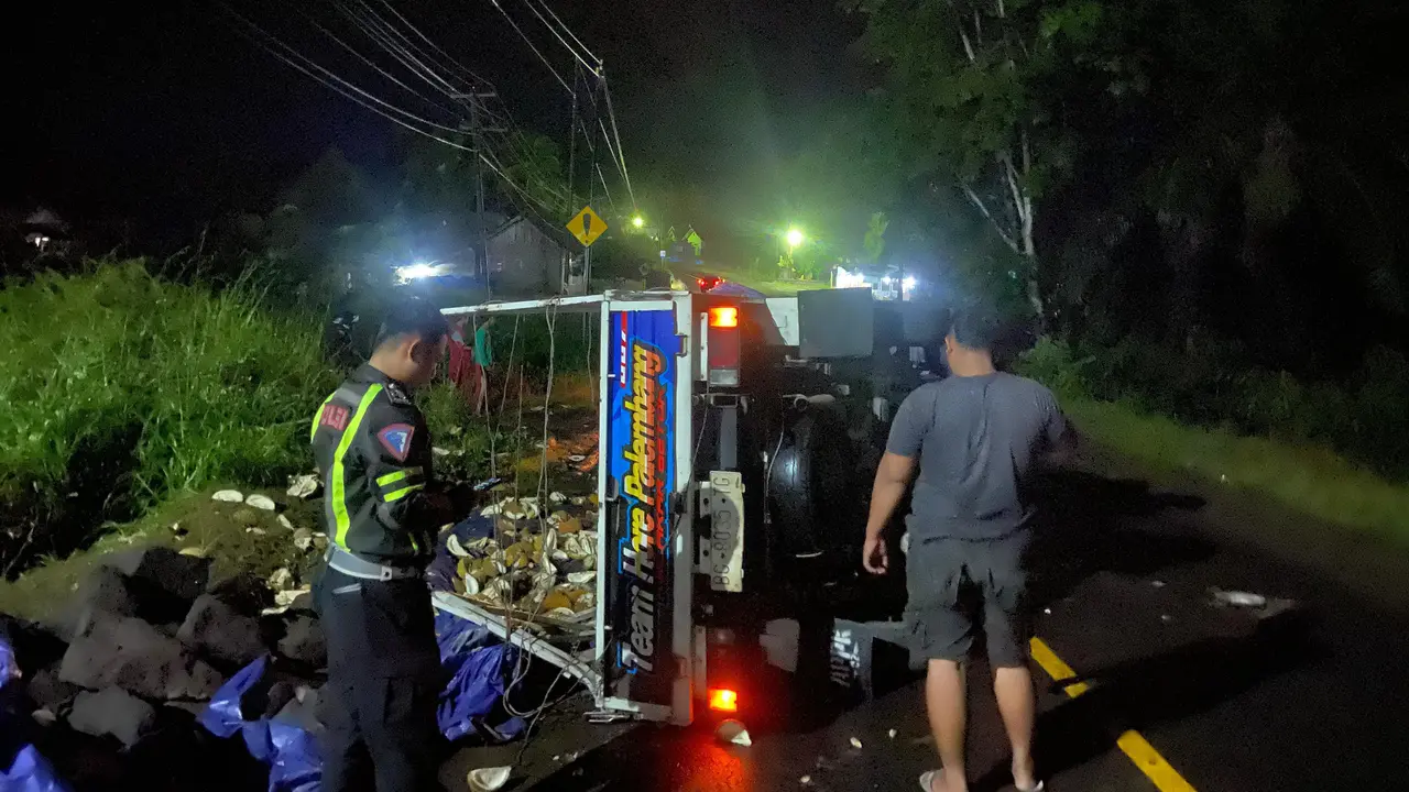 Pikap nermuatan durian yang terguling di Jalan Lintas Sumatera, Kabupaten Way Kanan. Foto : (Istimewa).